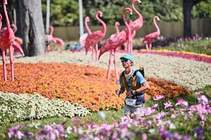 BIB: 
                            <button type="button" onclick="openModal(27793231)" class="btn btn-primary btn-sm float-right btn-popup" data-toggle="modal" data-target=".modal-high-quality">
                        <i class="fas fa-shopping-cart"></i> Add to Cart
                    </button>
                                            <button type="button" onclick="isThisMe(27793231, true)" class="btn btn-success btn-sm float-right btn-popup btn-isme hidden" data-toggle="tooltip" data-placement="bottom" title="นี่คือรูปของคุณใช่ไหม คลิกที่นี่เพื่อเอาเข้าอัลบั้ม">
                        <i class="fas fa-plus"></i> Add to album
                    </button>
                    <button type="button" onclick="isThisMe(27793231, false)" class="btn btn-warning btn-sm float-right btn-popup btn-isnotme hidden">
                        <i class="fas fa-ban"></i> Remove from album
                    </button>